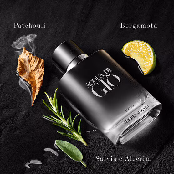 Perfume Giorgio Armani Acqua di Giò Masculino Parfum Ilustrativo