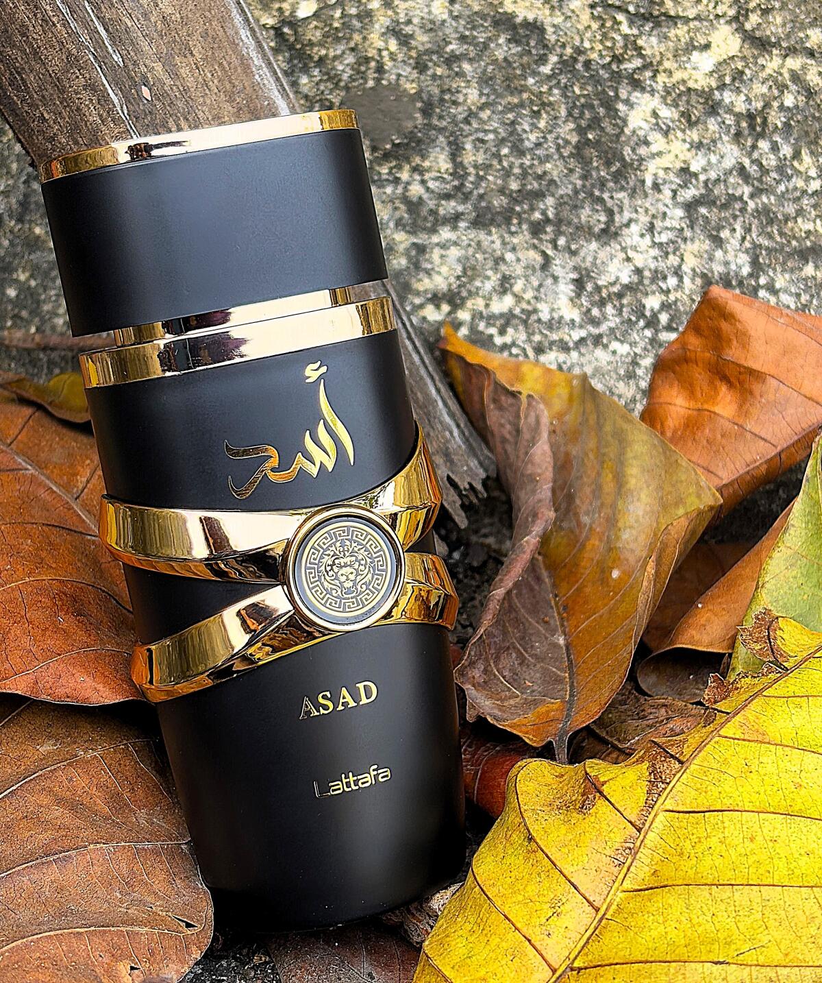 Perfume Lattafa Asad Eau de Parfum Masculino